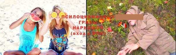 ешки Абдулино